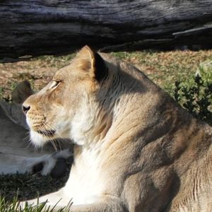 Meet your Posher, Kennith